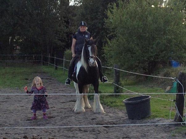 Irish Cob Snow Queen fra Godrumgaard  solgt billede 8