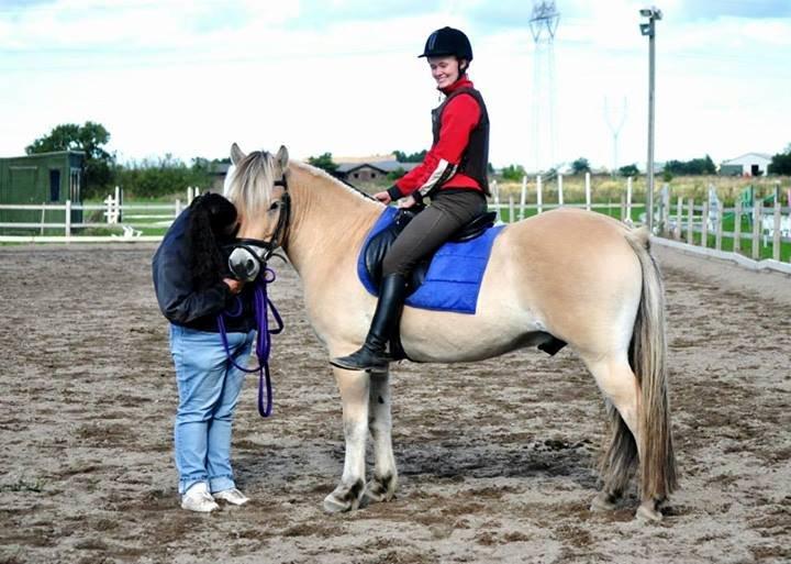 Fjordhest Halfdan - Halfdan, Nadja og mig billede 4