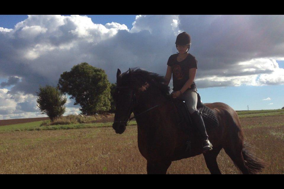 Frieser Branco af Stasevang - <3<3<3 billede 17