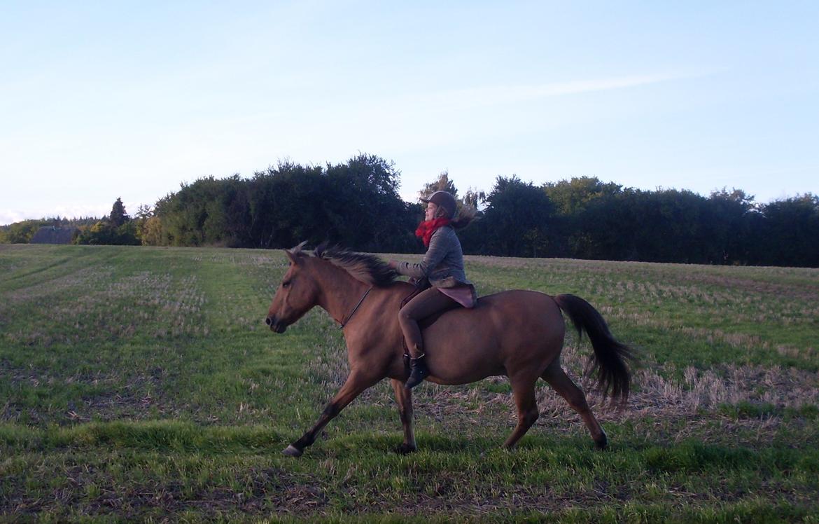 Anden særlig race Lukas billede 9