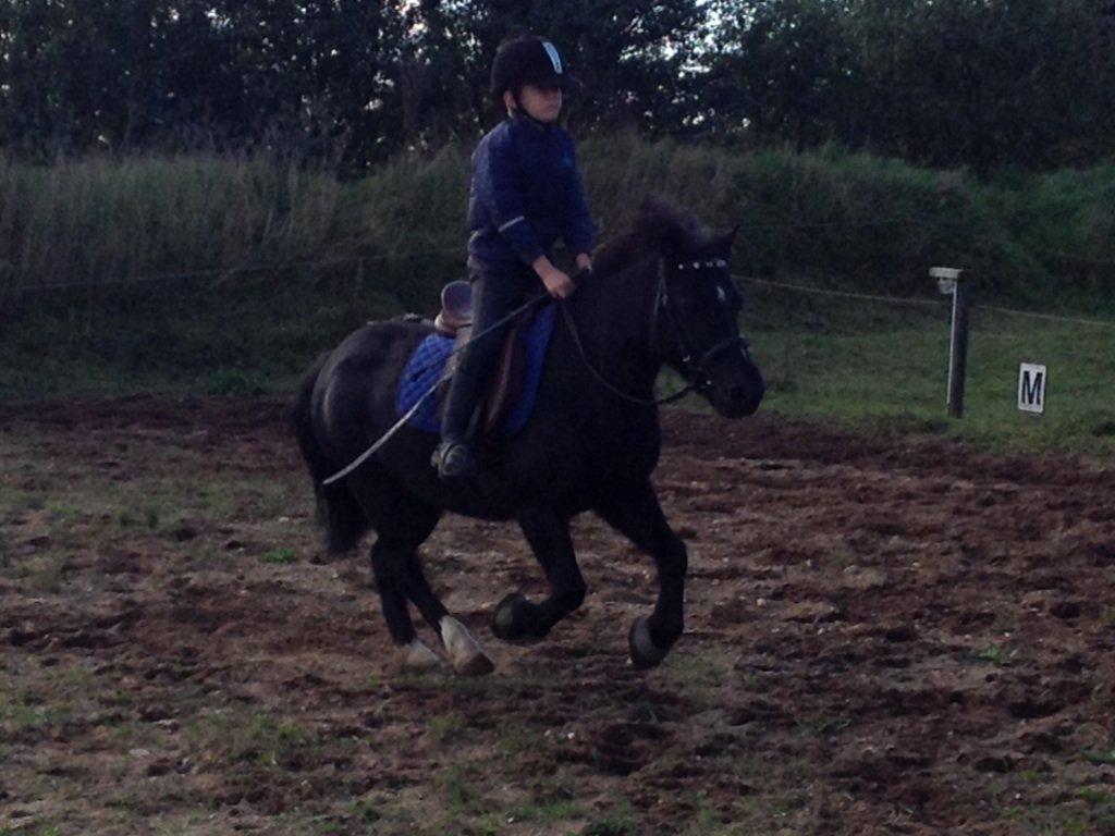 Anden særlig race Tarzan billede 2