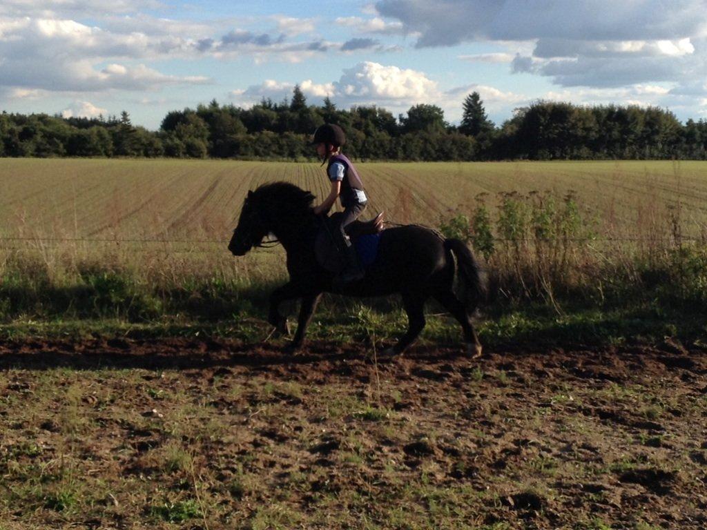 Anden særlig race Tarzan billede 3