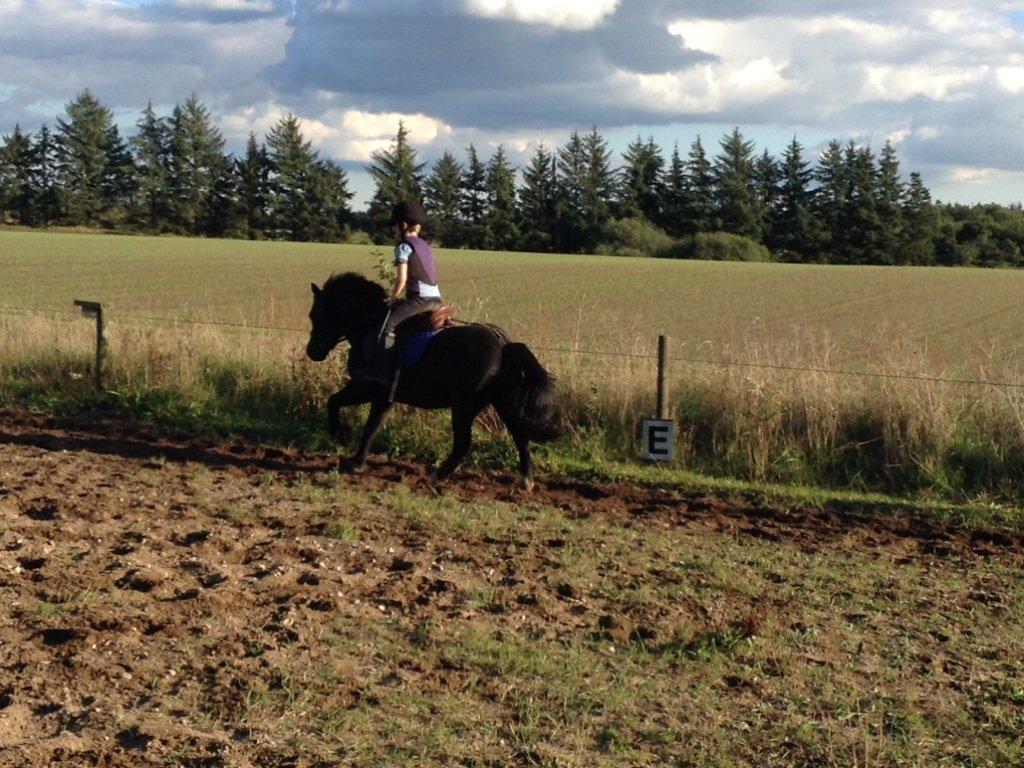 Anden særlig race Tarzan billede 4