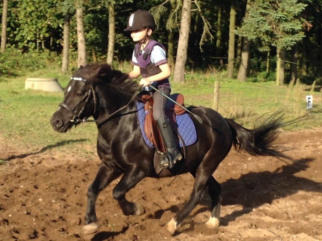 Anden særlig race Tarzan billede 5