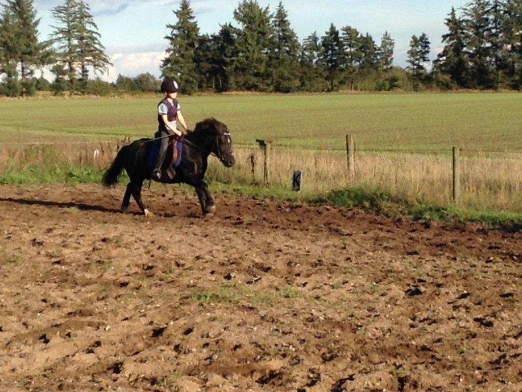 Anden særlig race Tarzan billede 6