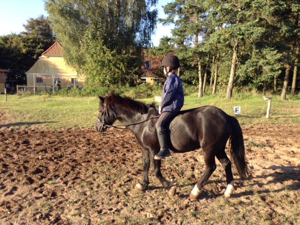 Anden særlig race Tarzan billede 7