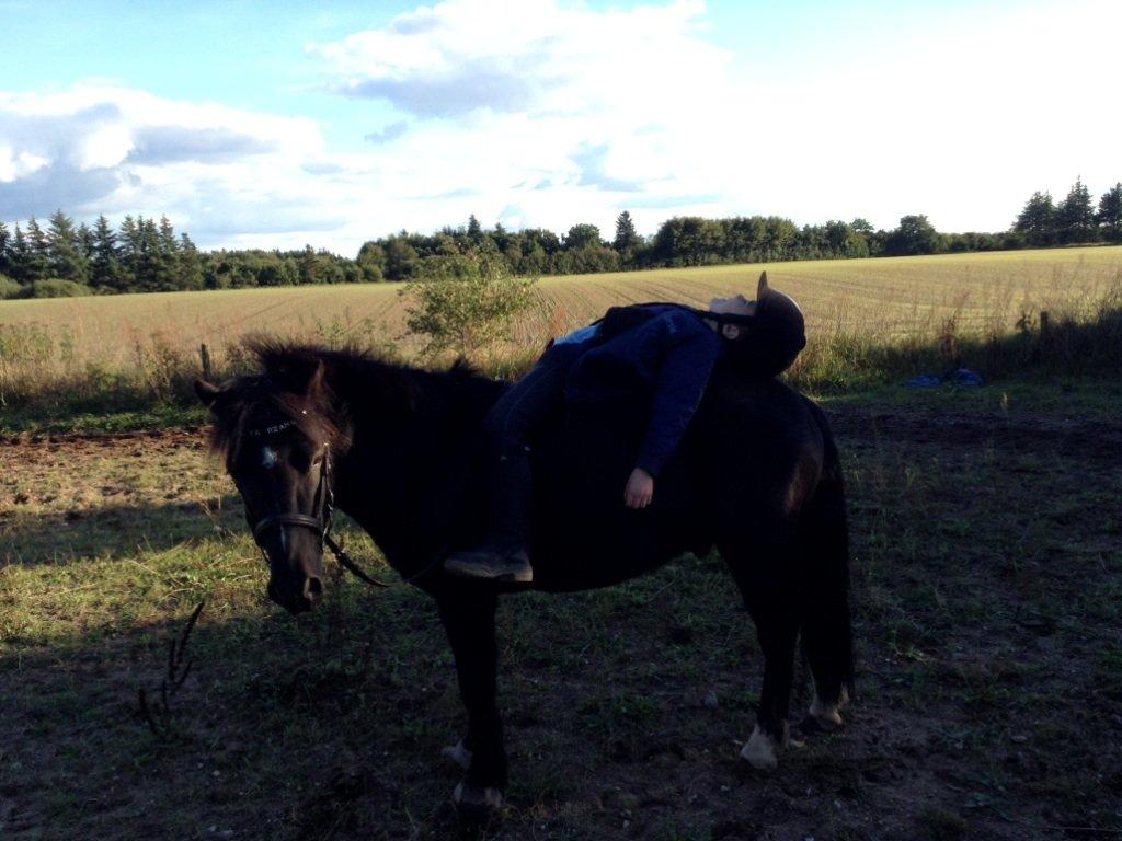 Anden særlig race Tarzan billede 8