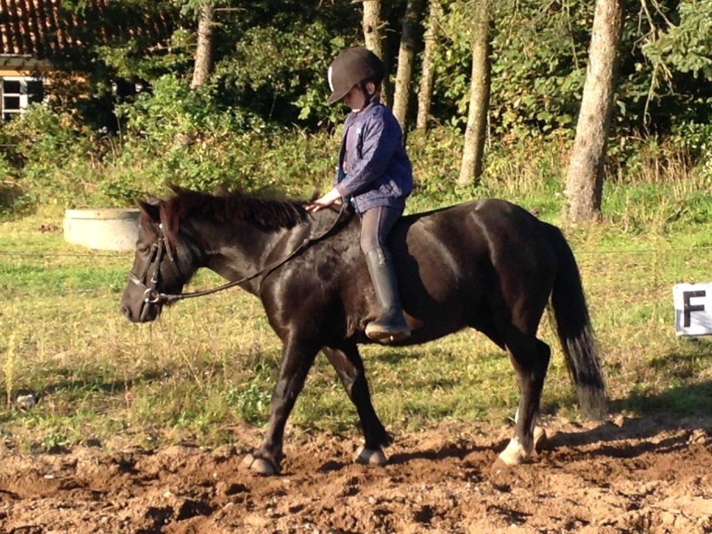 Anden særlig race Tarzan billede 10