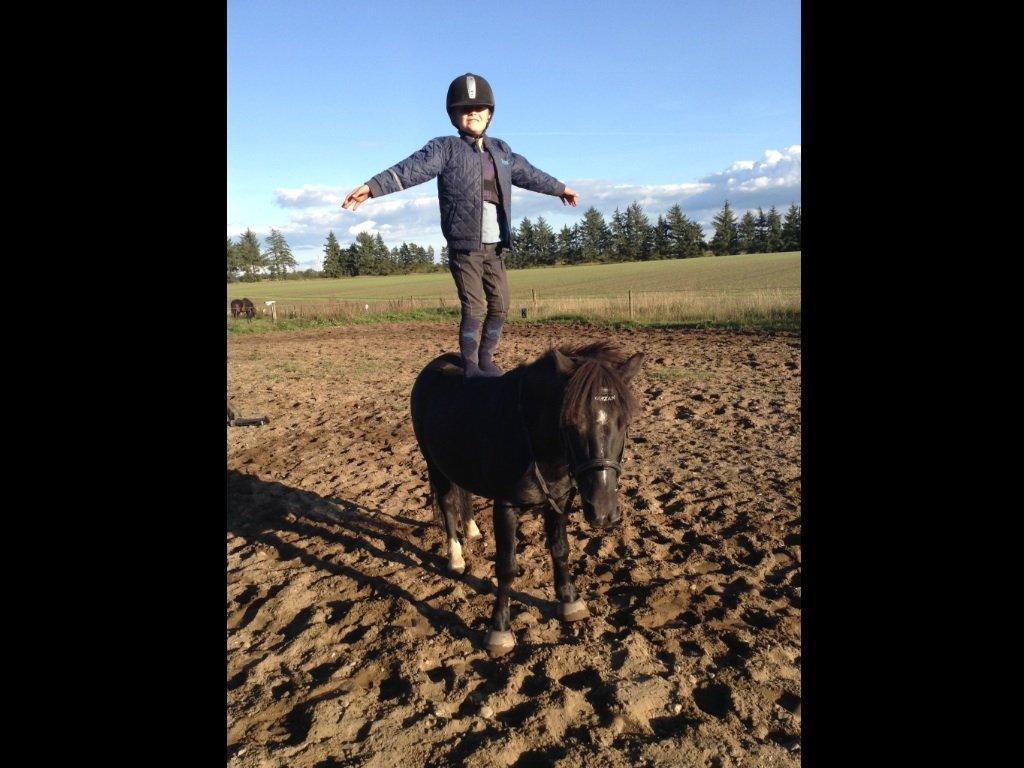 Anden særlig race Tarzan billede 12