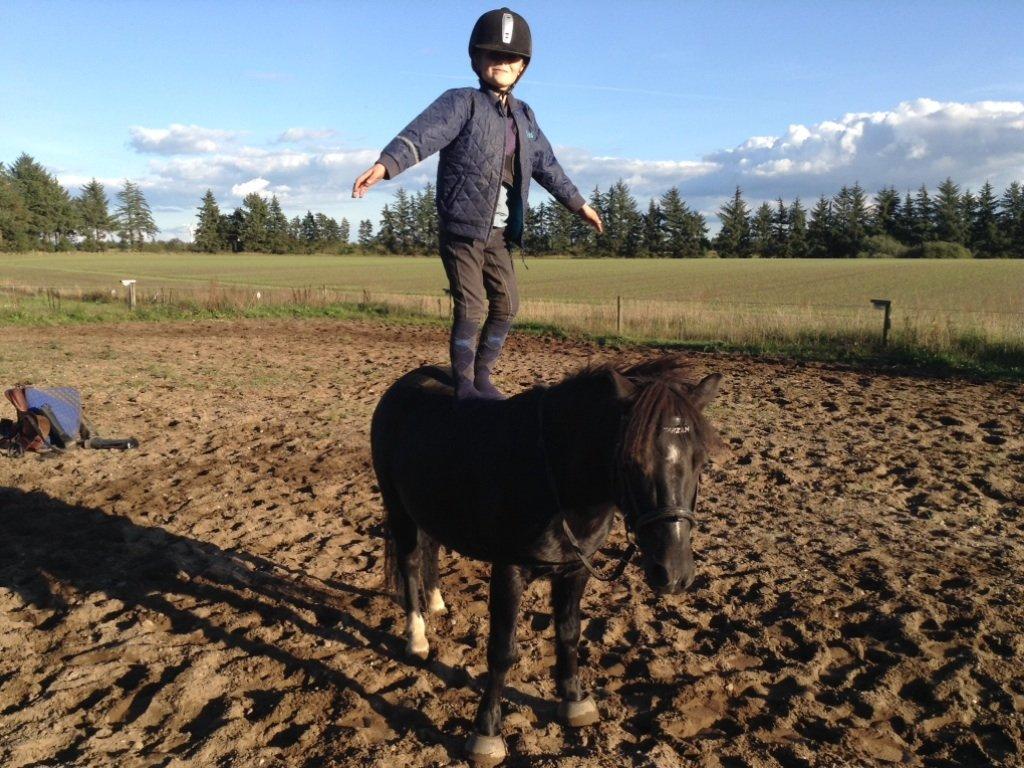 Anden særlig race Tarzan billede 13
