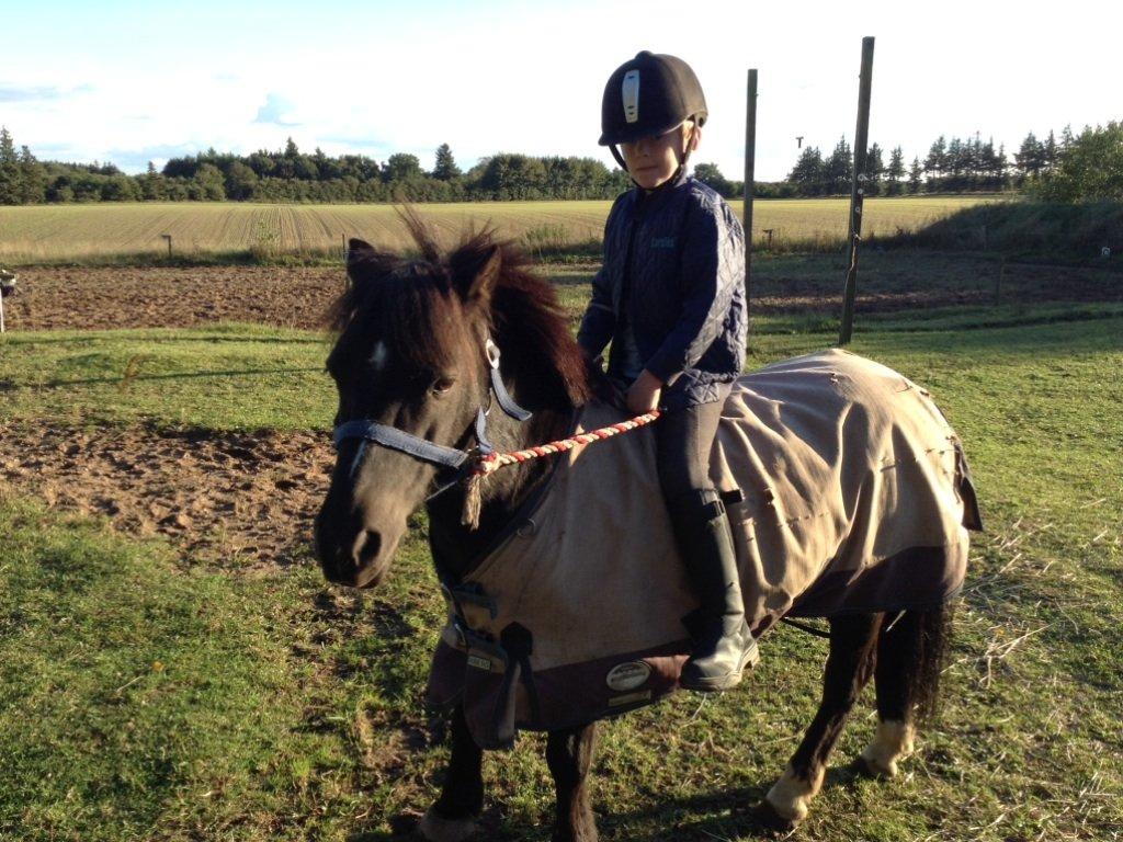 Anden særlig race Tarzan billede 15