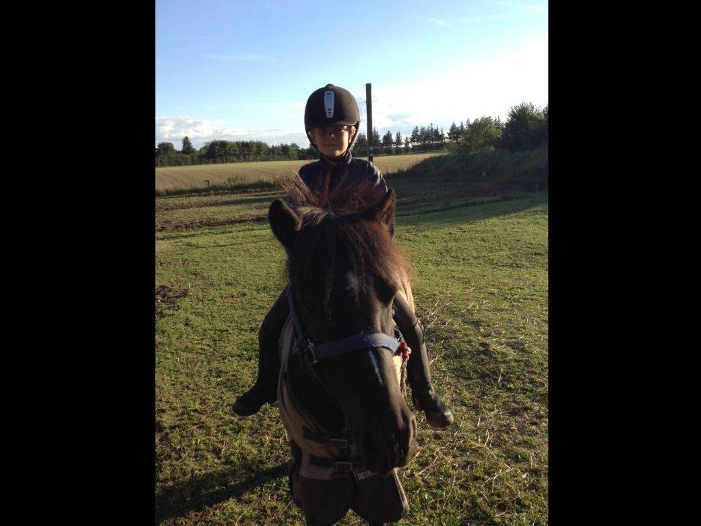 Anden særlig race Tarzan billede 16