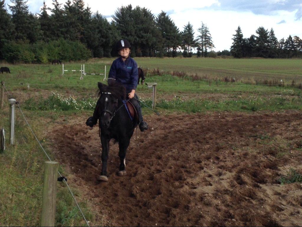 Anden særlig race Tarzan billede 18