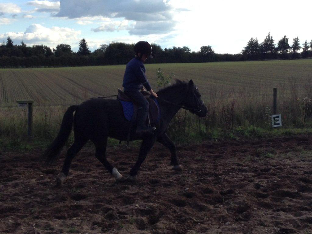 Anden særlig race Tarzan billede 19