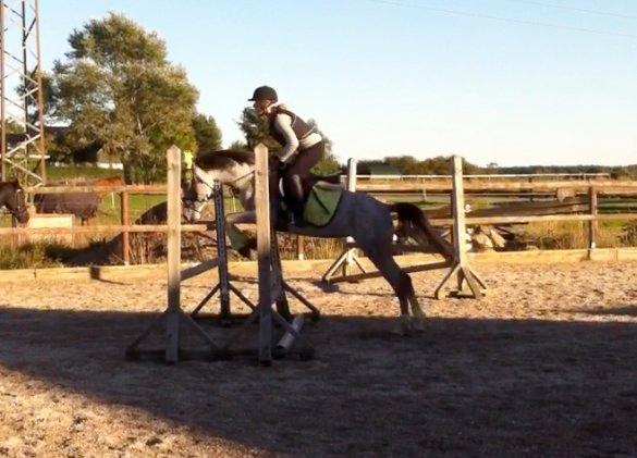 Anden særlig race Asgårds Frigg<3 billede 5