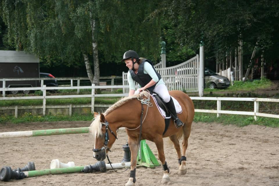 Haflinger Herkules - Første springstævne i cordeo på Taulov rideklub i september 2013 billede 9