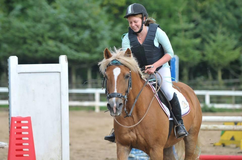 Haflinger Herkules - Første springstævne i cordeo på Taulov rideklub i september 2013 billede 10