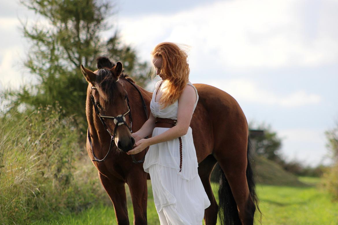 New Forest Vangsgaard's Vanity [Tidl. part] - “A horse is the projection of peoples' dreams about themselves - strong, powerful, beautiful - and it has the capability of giving us escape from our mundane existence.” - Foto: Line billede 4