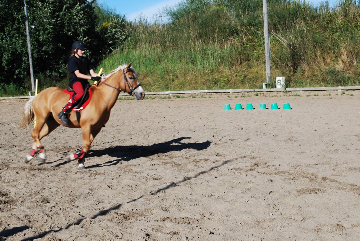 Haflinger Sissi - Ponygames-opvisning på ridelejren 2013:-) billede 29