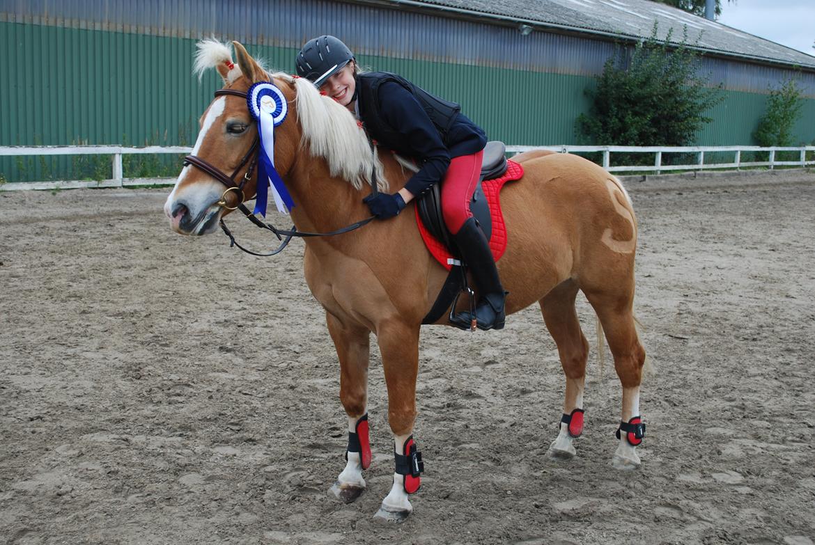 Haflinger Sissi - 2. plads i 60:-) 22/9 2013 billede 33
