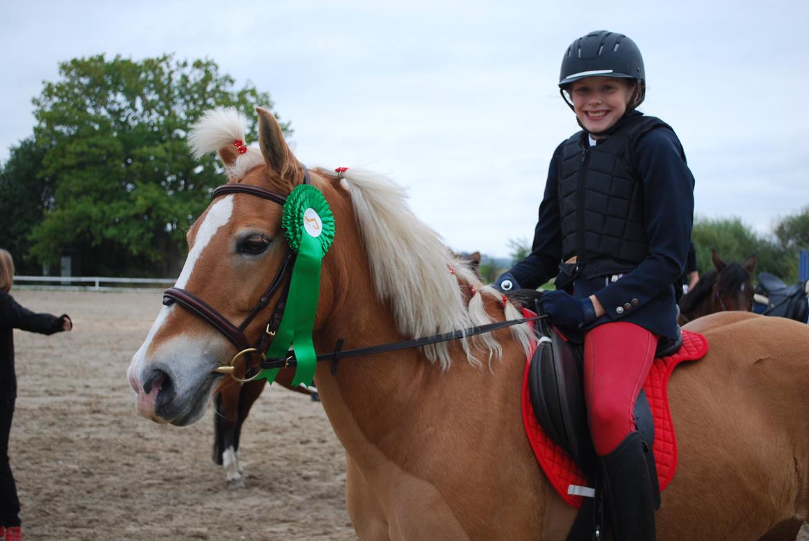 Haflinger Sissi - 4.plads i showklassen:-))
22/9 2013 billede 35