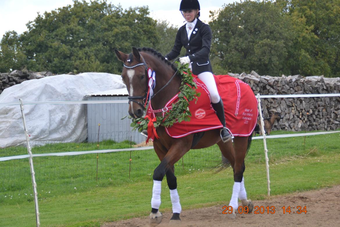 Anden særlig race Chanti - Vinder af Mesterskabet, D. 29/10-13 billede 9