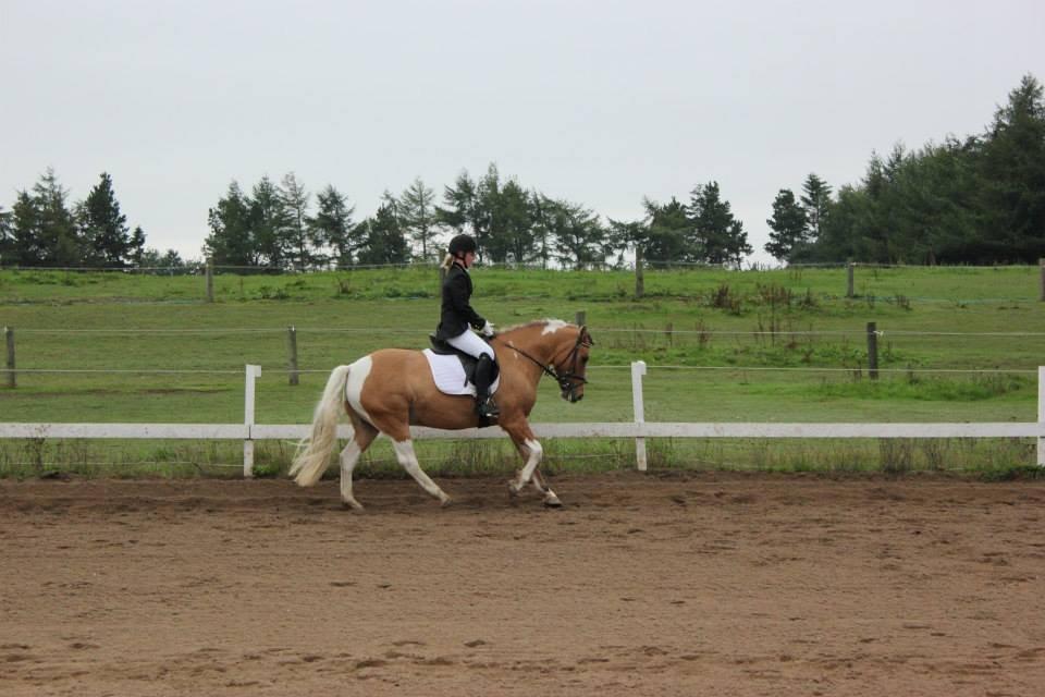 Anden særlig race Charming *Tidl. Part* - Stævne d.22/9 2013! billede 19