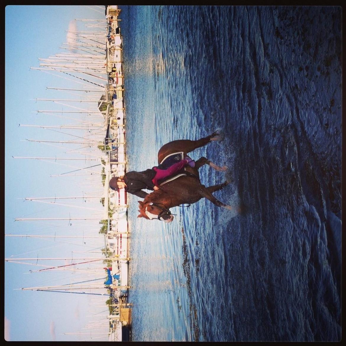 Anden særlig race Skikkilds Felis - Stranden med den bedste 😃😄 billede 4