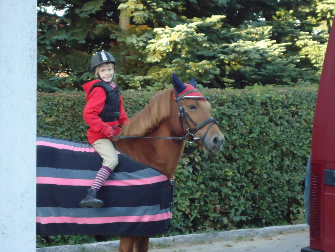 Anden særlig race Rosa - Anna og Rosa(: billede 31