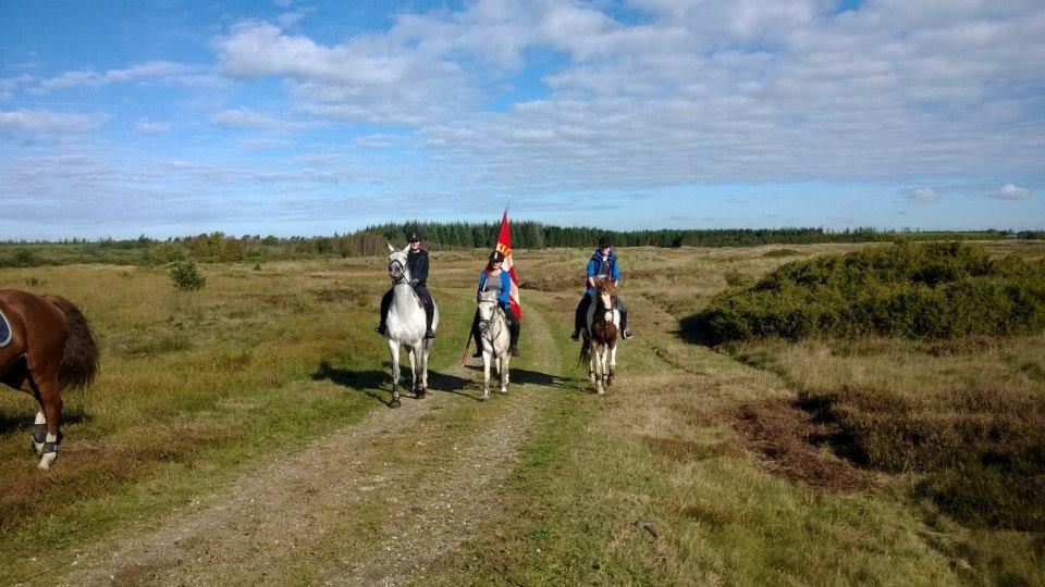 Anden særlig race Lukke<3 *pony<3* - En af posterne ved O-løbet 2013! Altid en fornøjelse at være med! <3 billede 20