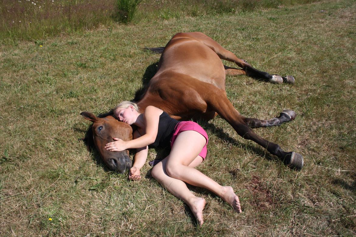 Dansk Varmblod Ponjaei - My sweet angel, i will never forget you <3 :'( billede 31