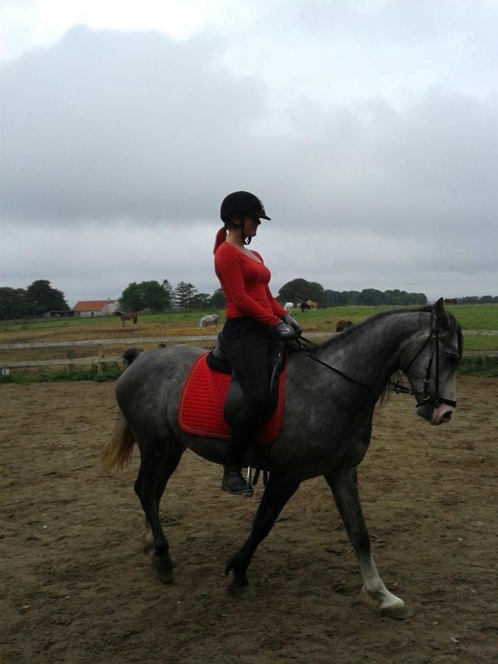 Anden særlig race Rolighedens Caruzo billede 3