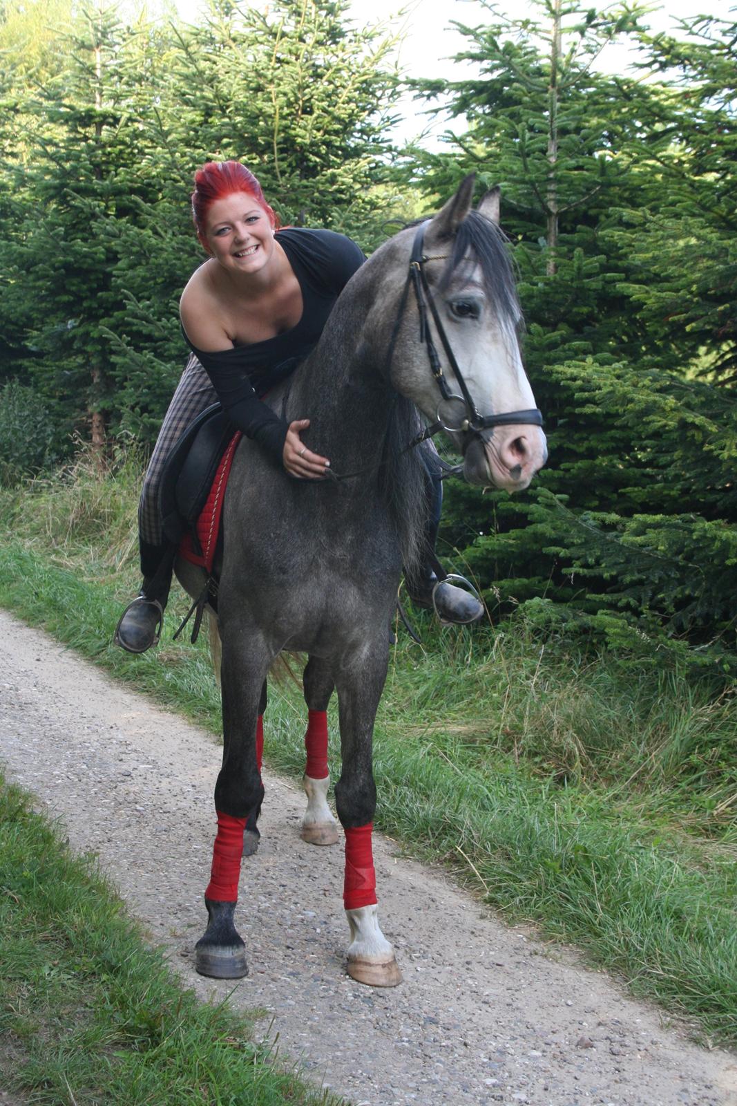 Anden særlig race Rolighedens Caruzo billede 2
