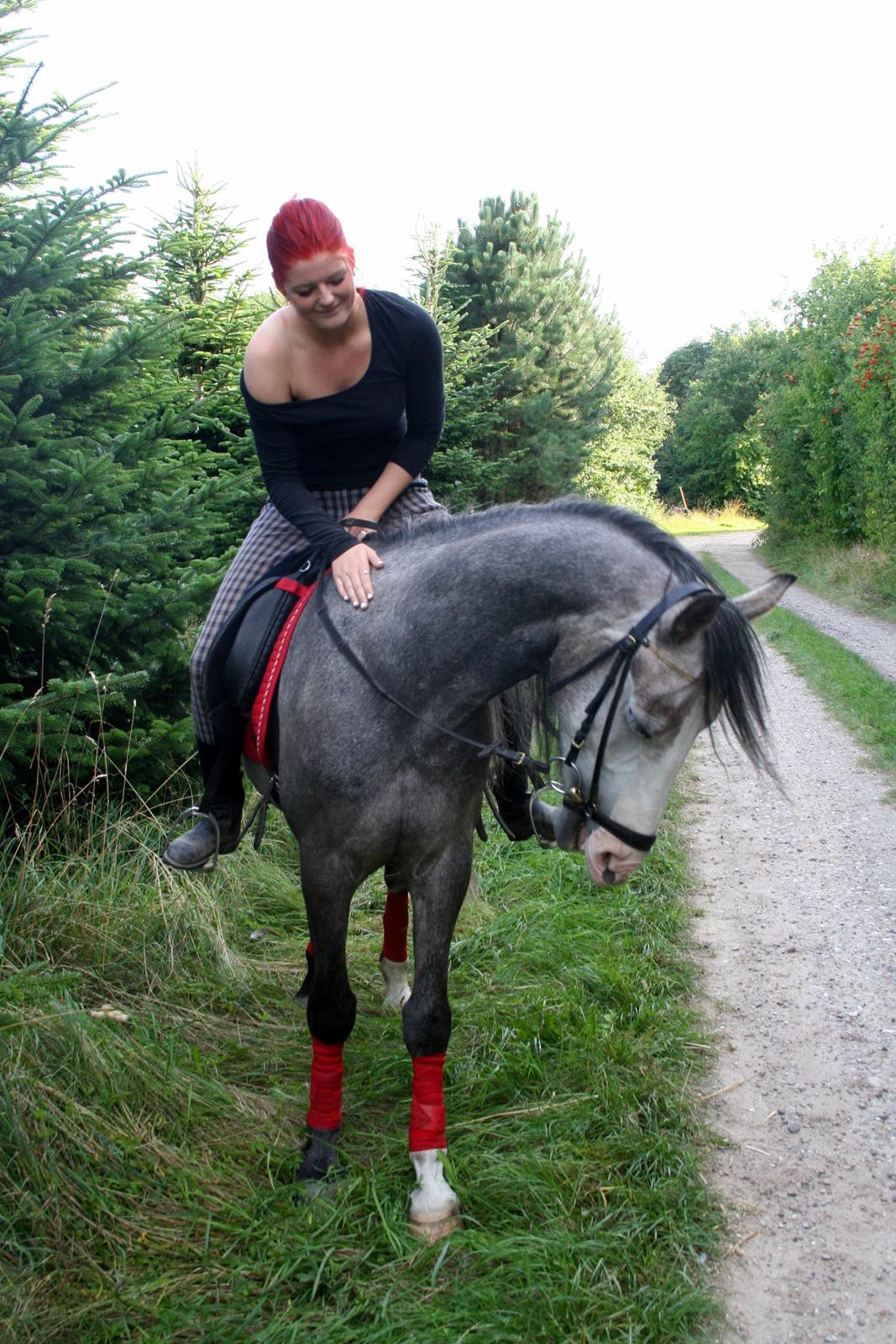 Anden særlig race Rolighedens Caruzo billede 4