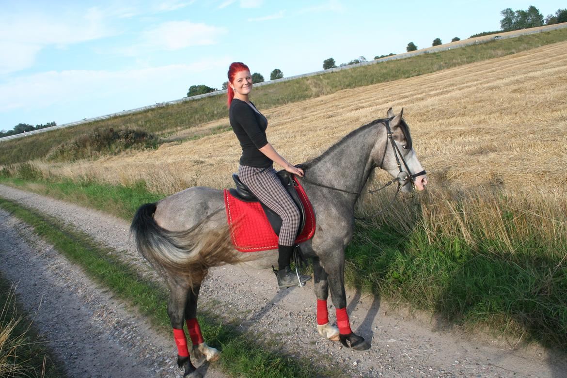 Anden særlig race Rolighedens Caruzo billede 5