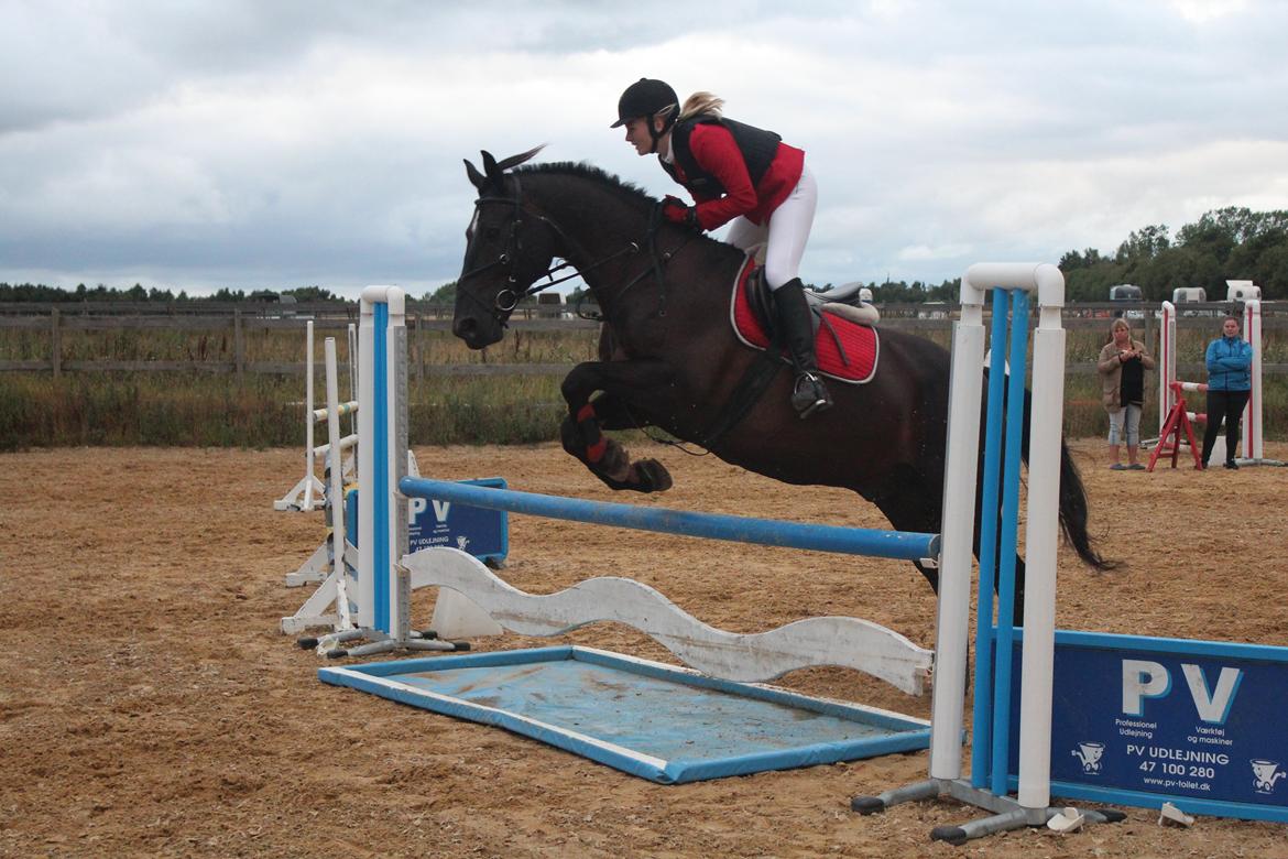 Oldenborg Noir  |Sorte| - Dygtig dreng til stævne på HHR 90 cm og en fejlfri runde! <3  billede 1