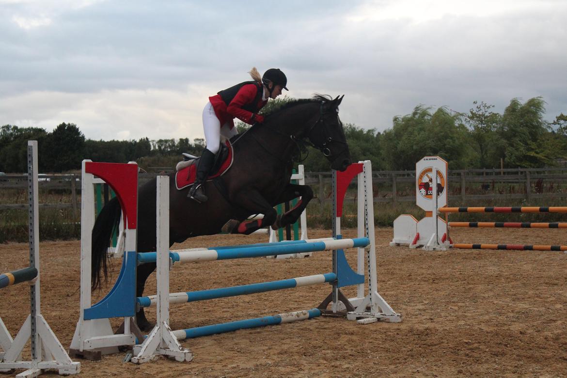 Oldenborg Noir  |Sorte| - LD på HHR :)  billede 6