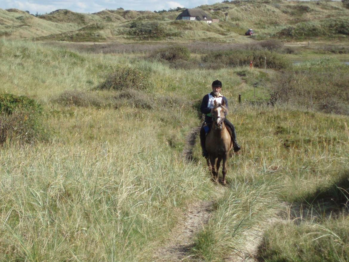 Anden særlig race RAS "Flotte fyr" - Ras og Harry til Blåbjerg rit 2013 billede 23