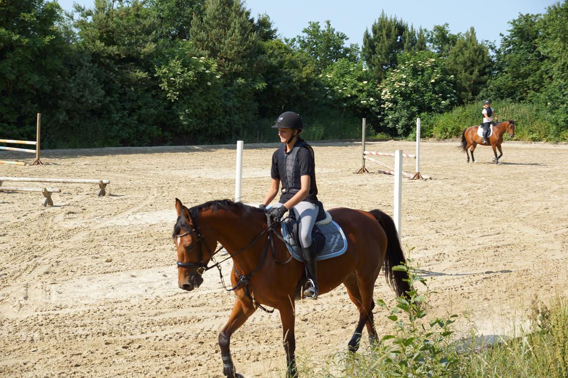 Dansk Varmblod Retina || - Opvarmning til spring træning, 2013 billede 6