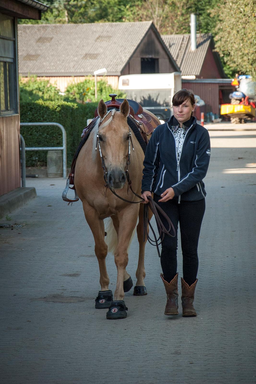 Quarter Timberranchs Anazasi - Velkommen til Zassis profil 
DWF DM 2013  billede 1