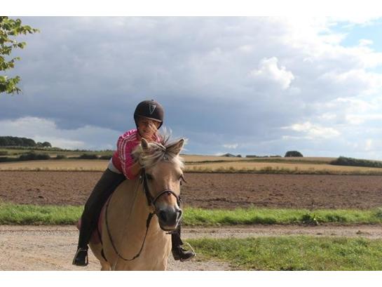 {{currentPhoto.altText}} billede {{currentPhoto.number}}