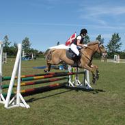 Anden særlig race Joy