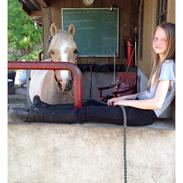 Anden særlig race Jerry