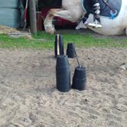 Anden særlig race Jerry