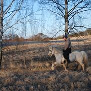 Islænder Nàd fra Halakoti