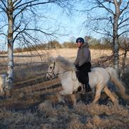 Islænder Nàd fra Halakoti