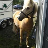 Islænder Nàd fra Halakoti