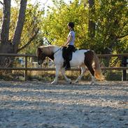 Islænder Silja Fra Rønnest