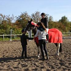 Anden særlig race Cassiopeja