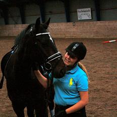 Dansk Varmblod Di Gio